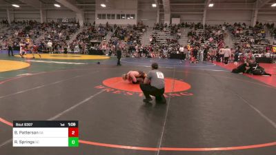 113 lbs Quarterfinal - Bradley Patterson, GA vs Richard Springs, SC