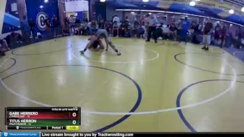 132 lbs Placement (16 Team) - Gabe Herrero, Cypress Bay vs Titus Herron, Palm Harbor