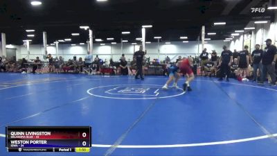 110 lbs Placement Matches (8 Team) - Quinn Livingston, Oklahoma Blue vs Weston Porter, Iowa