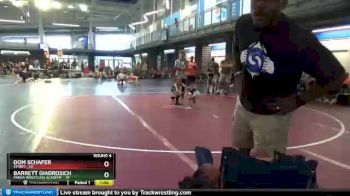 50 lbs Round 4 (10 Team) - Barrett Giadrosich, Panda Wrestling Academy vs Dom Schafer, Storm