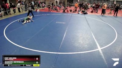 65 lbs Quarterfinal - Gannon Hemmesch, Paynesville vs Coy Wilson, Grand Rapids