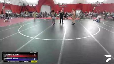 250 lbs Round 2 - Andrew Olson, MN vs Darrell Bibbs, IL