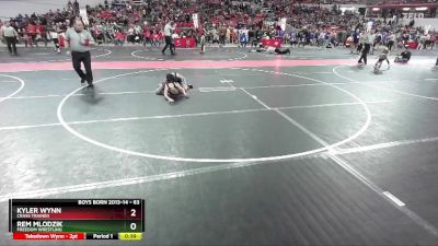 63 lbs Quarterfinal - Rem Mlodzik, Freedom Wrestling vs Kyler Wynn, Crass Trained