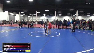 97 lbs Round 2 (8 Team) - Sully Marx, Minnesota Blue vs Nathan Matthis, Maryland