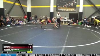 82 lbs Round 3 (4 Team) - Jasmine Anderson, Chasing Titles vs Ava Rife, Missouri Gold