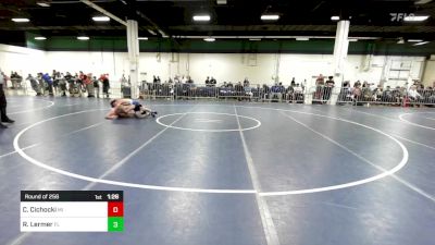 120 lbs Round Of 256 - Carter Cichocki, MI vs Roman Lermer, FL