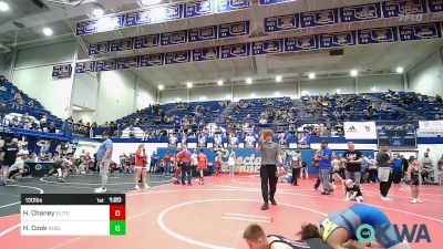 130 lbs Rr Rnd 3 - Hunter Chaney, Tuttle Elite Wrestling Club vs Henry Cook, Noble Takedown Club