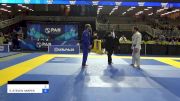 GREGORY ADAM YELLIN vs KYLE STEVEN HARPER 2024 Pan Jiu Jitsu IBJJF Championship