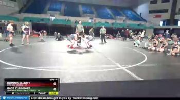 115 lbs Placement (4 Team) - Gage Cummings, Team Bear Wrestling Club Red vs Dominik Elliott, Cane Bay Cobras