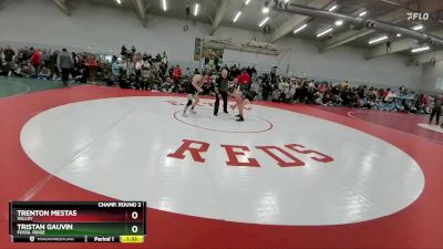 126 lbs Champ. Round 2 - Tristan Gauvin, Fossil Ridge vs Trenton Mestas, Valley