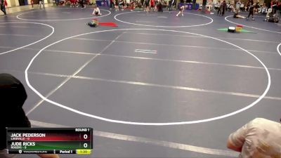 48 lbs Round 1 (4 Team) - Jack Pederson, Lakeville vs Jude Ricks, Rogers