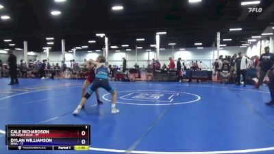 87 lbs Placement Matches (8 Team) - Cale Richardson, Oklahoma Blue vs Dylan Williamson, Iowa