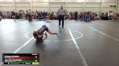 64 lbs Round 3 (6 Team) - Ethan Mitrisin, South Hills vs Dexter Galofaro, Ohio Gold 10K