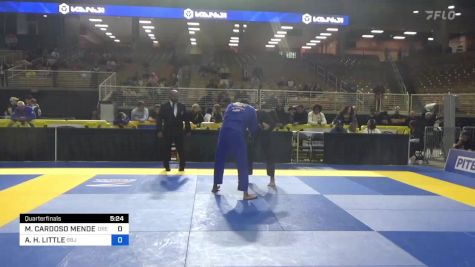 MATEUS CARDOSO MENDES vs ALEXZANDER H. LITTLE 2024 Pan Jiu Jitsu IBJJF Championship