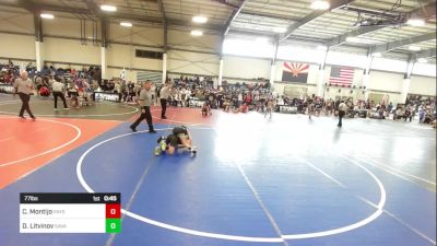 77 lbs Consi Of 4 - Canyon Montijo, Payson WC vs Danil Litvinov, Savage House WC