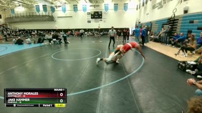 138 lbs Round 1 (4 Team) - Jake Hammer, Pinedale vs Anthony Morales, Scottsbluff