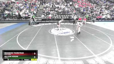 113 lbs 3rd Place Match - Brandon Thorstead, Bear River vs Peyton Hogan, Uintah