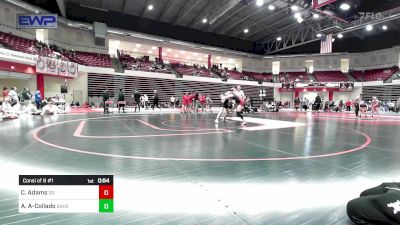 110 lbs Consi Of 8 #1 - Caseley Adams, Duncan Demons vs Ana Arruti-Collado, Broken Arrow Girls HS