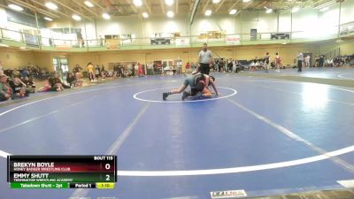 95-103 lbs Round 2 - Emmy Shutt, Terminator Wrestling Academy vs Brekyn Boyle, HONEY BADGER WRESTLING CLUB