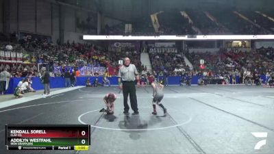 65 lbs Semifinal - Addilyn Westfahl, Iron Grapplers vs Kendall Sorell, Clay Co.