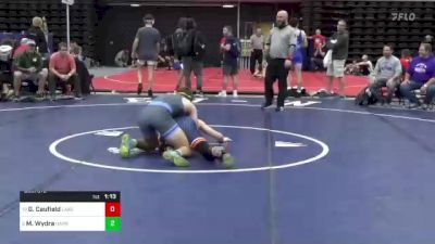 160 lbs Quarterfinal - Gabriel Caufield, Lake Ariel, PA vs Mason Wydra, Harrisburg, PA