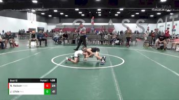 60 lbs Placement Matches (8 Team) - Nathan Nelson, Thorn Wrestling (MN) vs Jaden Uhde, PA Alliance
