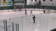 Replay: Home - 2024 Lindenwood vs Mercyhurst | Feb 10 @ 12 PM