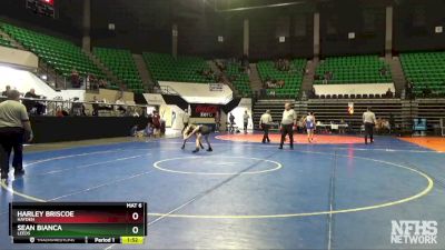 106 lbs Semifinal - Sean Bianca, Leeds vs Harley Briscoe, Hayden