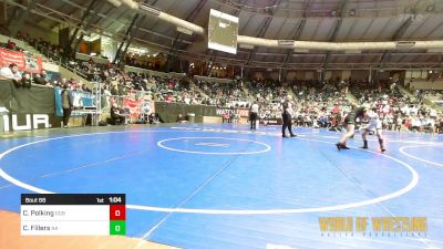 100 lbs Round Of 16 - Cameron Polking, GGB Ohio vs Canyon Fillers, Alber Athletics