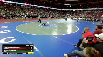 D3-120 lbs Quarterfinal - Maddux Wendling, Valders vs Ronan Garcia, Bruce