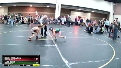 1 lbs Finals (2 Team) - Gavin Petraglia, Steel Valley vs Luke Blair, Ohio Gold