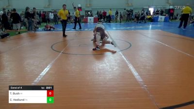 J-125 lbs Consi Of 4 - Todd Bush, MI vs Cael Hedlund, PA