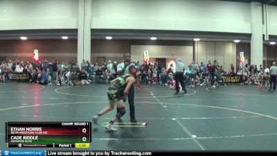 85 lbs Champ. Round 1 - Ethan Norris, Delta Wrestling Club Inc. vs Cade Riddle, Haywood Elite