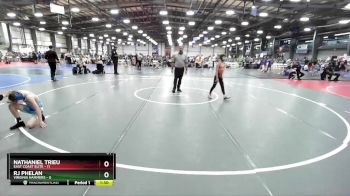 84 lbs Rd# 9- 2:15pm Saturday Final Pool - RJ Phelan, Virginia Hammers vs Nathaniel Trieu, East Coast Elite