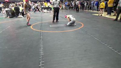 100 lbs Quarterfinal - Reese Werner, Loyalsock vs Layla Namerow, Downingtown East