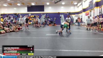 65 lbs Round 1 (6 Team) - Levi Dandridge, Summerville Takedown vs Colton Mendenez, West Wateree