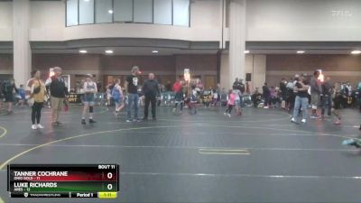 100 lbs Round 4 (6 Team) - Tanner Cochrane, Ohio Gold vs Luke Richards, Ares