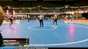 133 lbs Round 2 (3 Team) - Andreo Ferraina, Kutztown vs Temuujin Erdenetuya, Marymount University