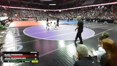 D3-106 lbs Semifinal - Aidan Gruenenfelder, Pecatonica/Argyle vs Blake Underwood, Marathon