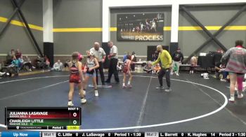 65 lbs Round 3 (4 Team) - Charleigh Little, Missouri Gold vs Julianna LaSavage, Badger Girls