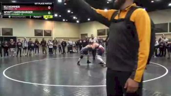 220 lbs Finals (2 Team) - Eli Hommer, Iowa Gold vs Wyatt Harshbarger, Indiana Assassins