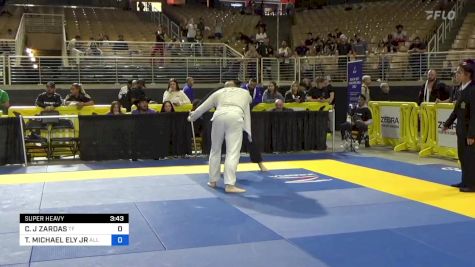 CHRISTOPHER J ZARDAS vs TADD MICHAEL ELY JR 2024 Pan Jiu Jitsu IBJJF Championship