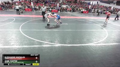 110 lbs Semifinal - Gabe Radtke, River Valley Youth Wrestling vs Alexander Knowles, Askren Wrestling Academy