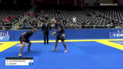 ALEXANDRE COUCEIRO RIBEIRO vs PIERPAOLO CHIAPPE 2021 World IBJJF Jiu-Jitsu No-Gi Championship