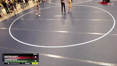 67 lbs Quarterfinal - Harper Ruch, New Ulm Rolling Thunder Wrestling Club vs Easton Schut, MN Elite Wrestling Club