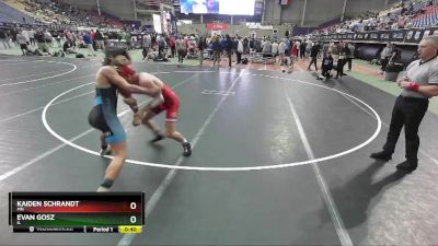 138 lbs Cons. Semi - Kaiden Schrandt, MN vs Evan Gosz, IL