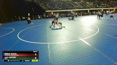 71 lbs Champ. Round 2 - Levi Ormsby, Iowa vs Breck White, Immortal Athletics WC