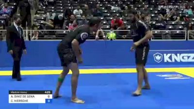 ANDRE DINIZ DE SENA vs CHARLES HIERSCHE 2021 World IBJJF Jiu-Jitsu No-Gi Championship