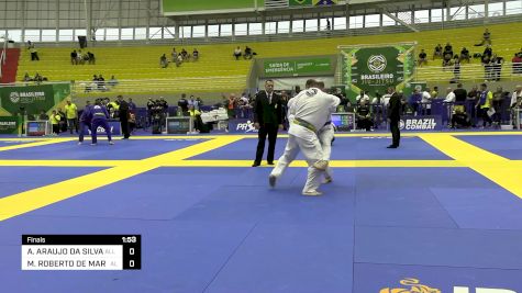 ALEXSANDRE ARAUJO DA SILVA vs MARIO ROBERTO DE MARCHI SILVA 2024 Brasileiro Jiu-Jitsu IBJJF