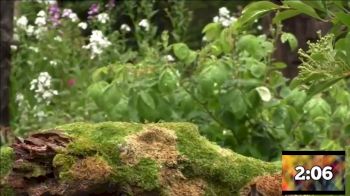 Replay: Bro Flips - 2025 SnowBros | Dec 25 @ 1 AM